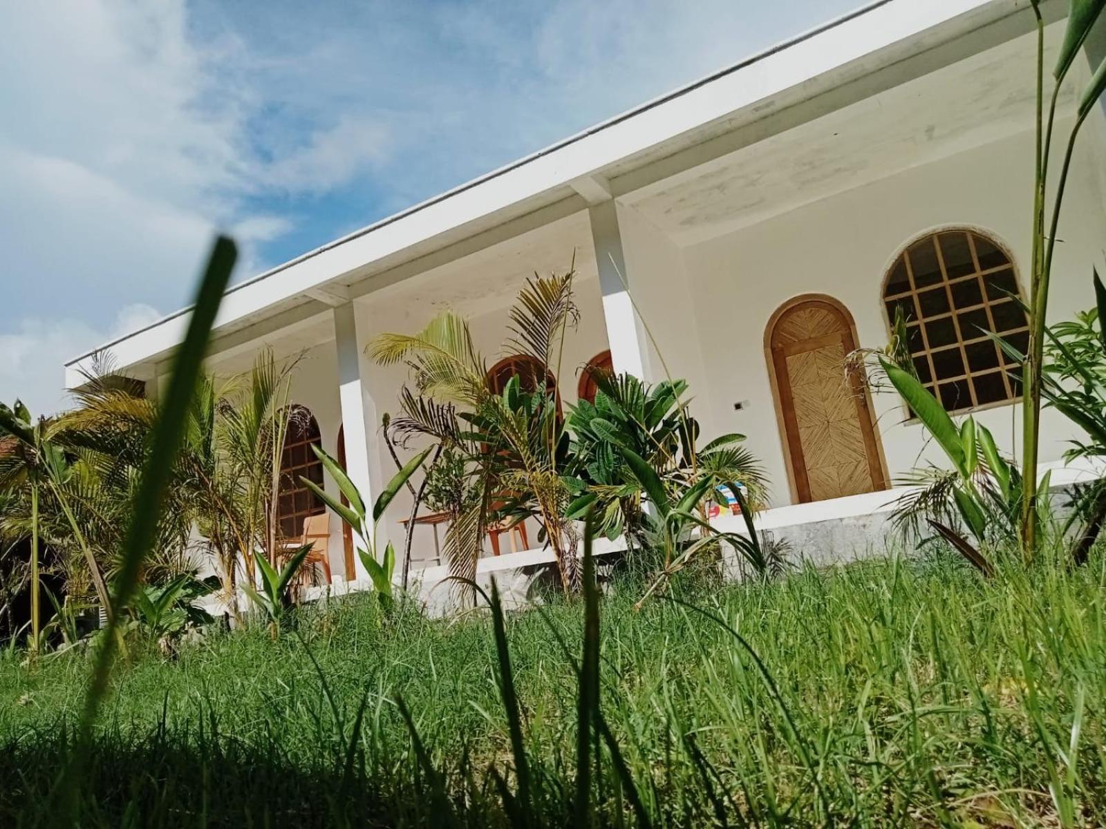 Palmhouse Boutique Hotel Kuta  Экстерьер фото