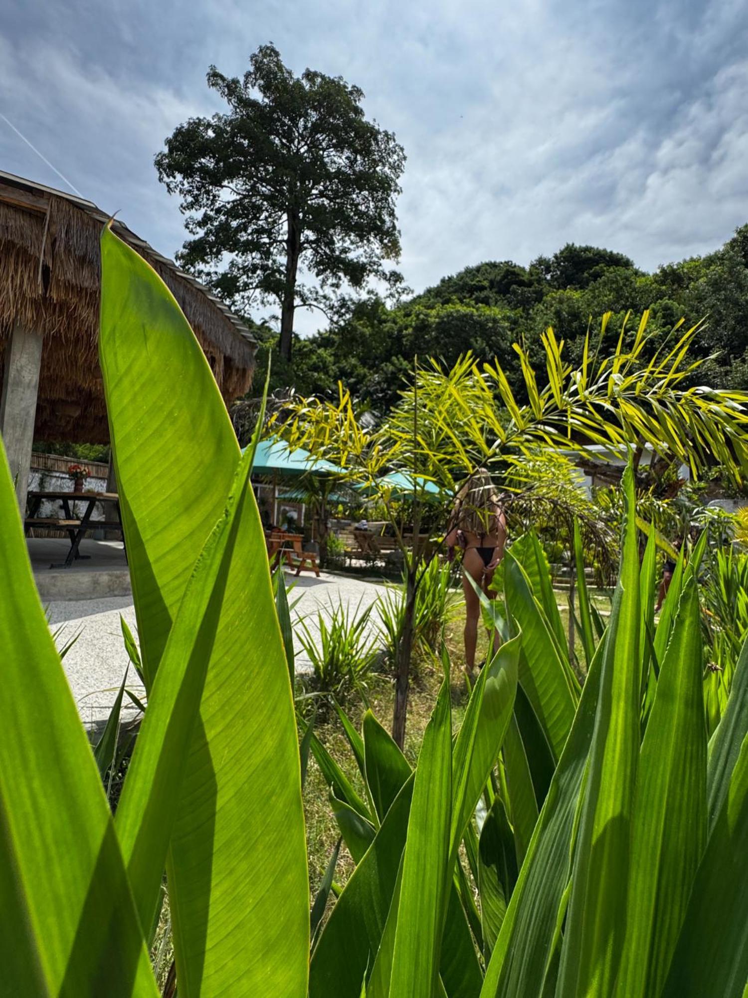 Palmhouse Boutique Hotel Kuta  Экстерьер фото